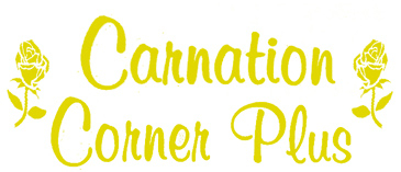 CARNATION CORNER PLUS