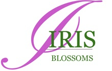 Iris Blossoms