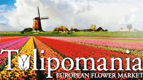 TULIPOMANIA EUROPEAN FLOWER MARKET