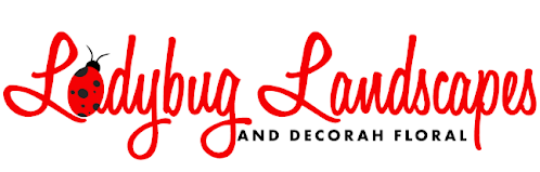 Ladybug Landscapes and Decorah Floral