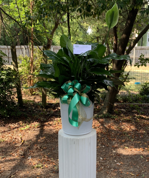 Flower Shop Augusta Florist in Augusta, GA QUICK WAY FLOWER SHOP