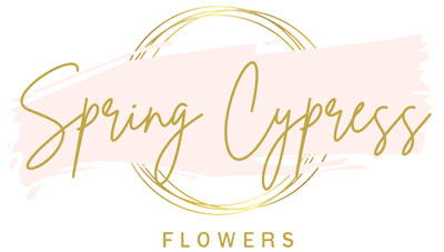 Spring Cypress Flowers