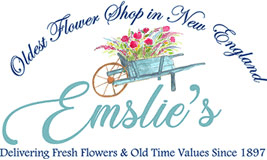 Emslie The Florist And Gifts