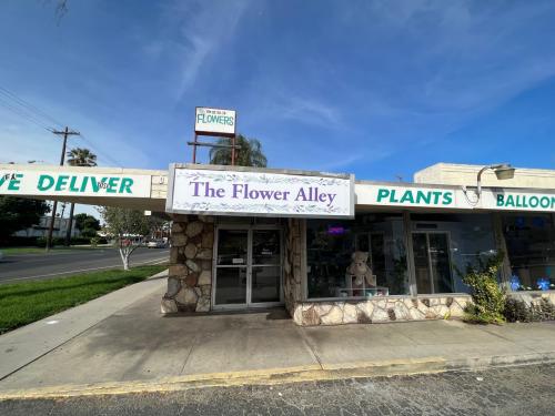 Glitter Roses in Riverside, CA - The Flower Alley